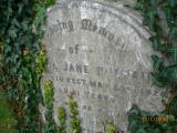 image of grave number 48055